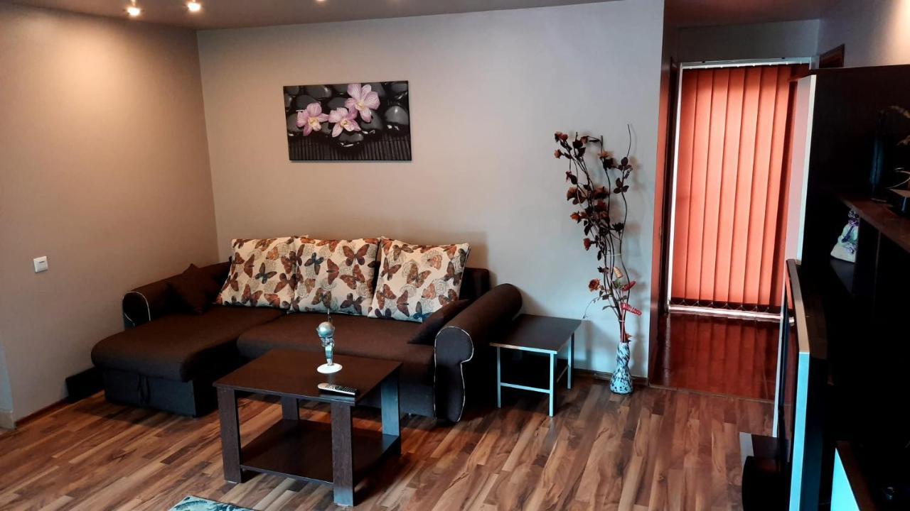Apartament Laurentiu - Etaj.1 بوخارست المظهر الخارجي الصورة